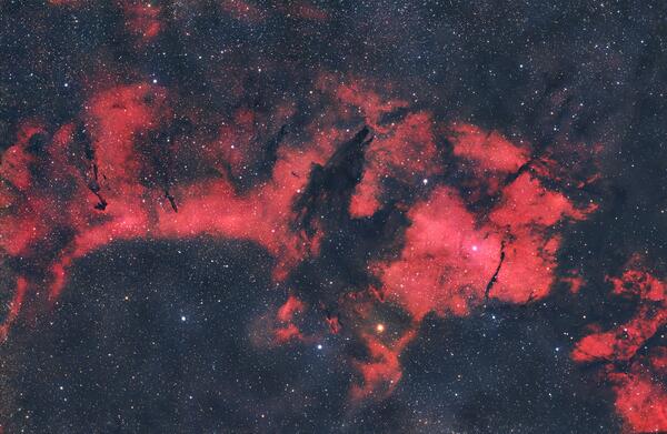 Wolf Nebula